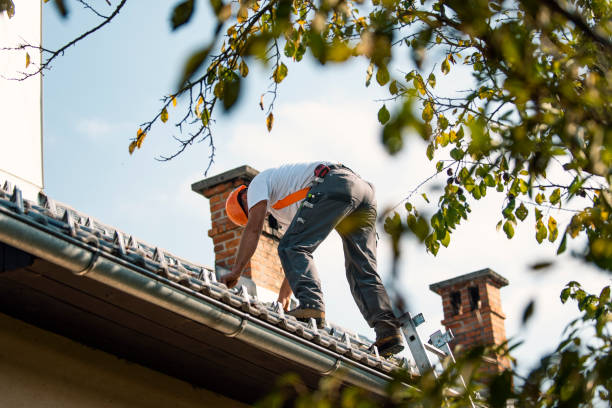 Best Roof Maintenance Services  in Rock Island, WA